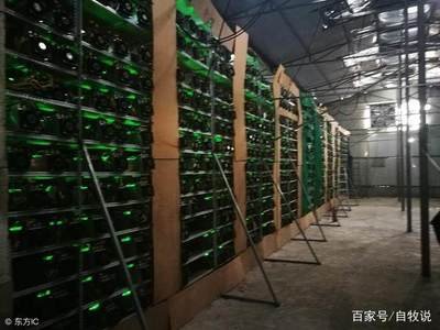 Dutch mining farm utilizing green energy for sustainable Bitcoin mining