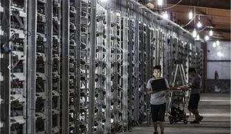 Solar-powered cryptocurrency mining farm with multiple miners