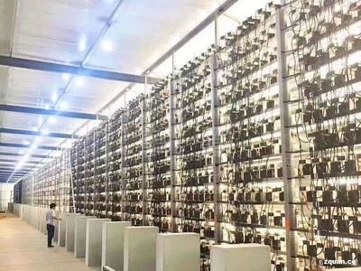 Vast Bitcoin mining farm with rows of ASIC machines buzzing with activity