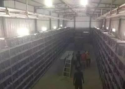 Cutting-edge mining farm utilizing sustainable ASIC miners